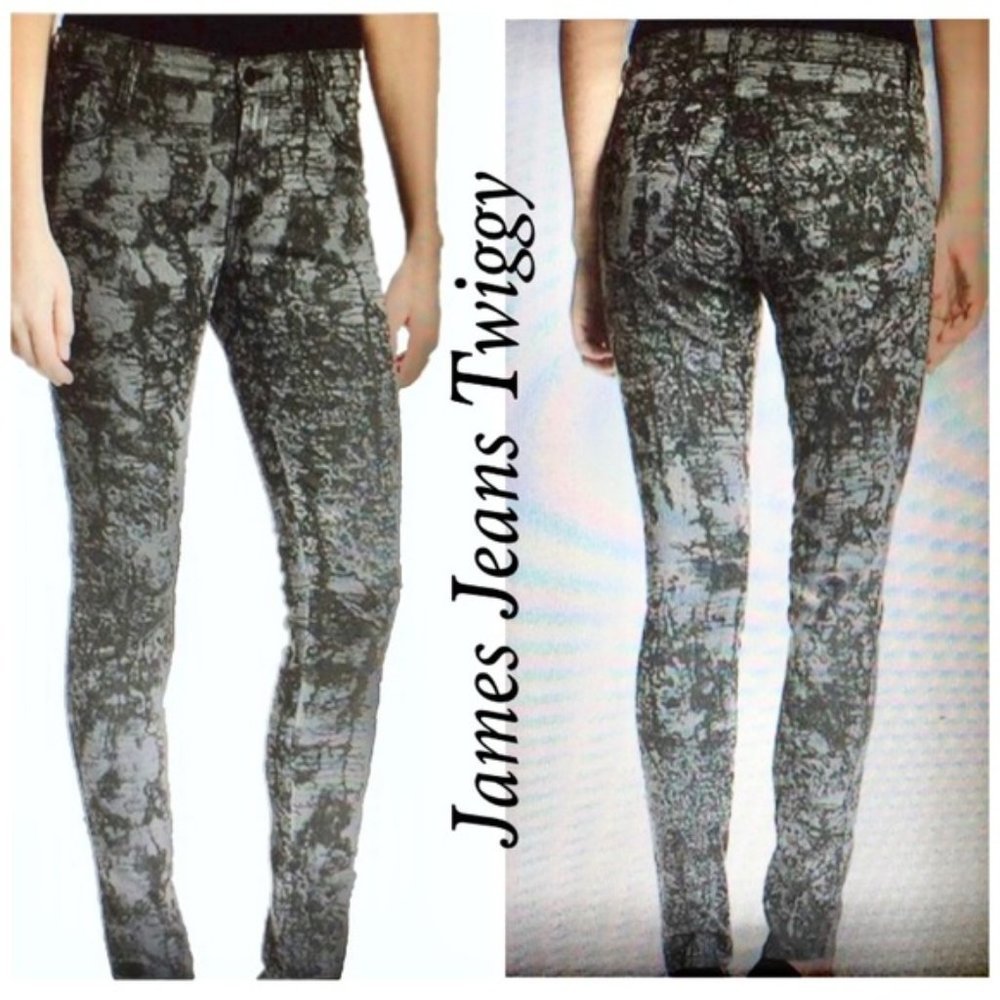 JAMES Jeans Antique Web Twiggy Pants Size 27 - Picture 1 of 8